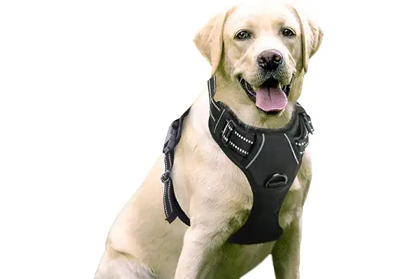 rabbitgoo Arnes Perro Grande Mediano Pequeño Arnés Pecho Antitirones Perros Coche con Lineas Reflecantes Cómodo Transpirable Chaleco Acolchado Ajustable para Adiesreamiento Correr Negro Tamaño Grande