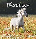 Pferde 2014. Postkartenkalender by 