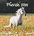 Pferde 2014. Postkartenkalender by 