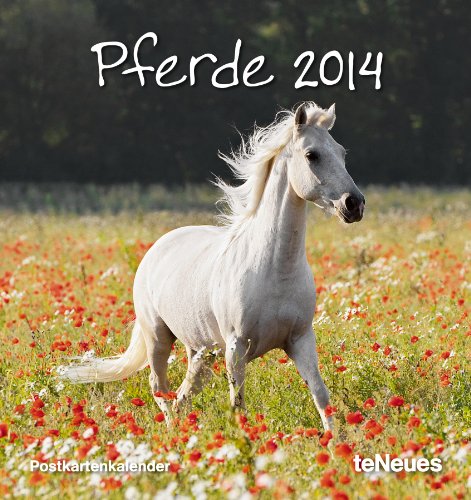 Pferde 2014. Postkartenkalender