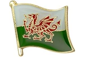 CrownOfRibbons Wales Welsh Flag, Enamel Pin, Dragon Brooch, Land of Our Fathers Cymru