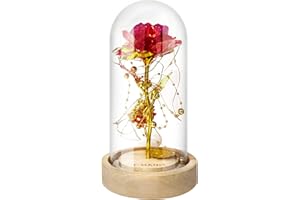 E-MANIS La Bella e la Bestia Rose, lamina di oro rosa e luce LED con perle dorate in cupola di vetro su base in legno, per Natale, San Valentino, festa della mamma, matrimonio, decorazione domestica