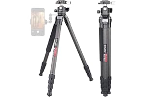 EVUMO Trípode Cámara Fibra De Carbono 1255mm Trípode Ligero Compacto Ultra Estable con 36mm 360 ° Cabeza De La Bola Panorámica, TríPodes Profesionales para VideocáMara DSLR, Carga Máxima 20kg/44.1lbs