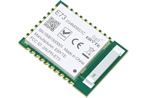 EBYTE nRF52840 BLE 5.0 Ricetrasmettitore Wireless 8dbm 120m 2.4GHz E73-2G4M08S1C Antenna Ceramica 2.4 GHz Modulo RF Bluetooth 4.2