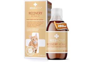 RECOACTIV Recovery Rénale pour Chats, 1 x 280 ML, Alimentation diététique complète hautement calorique en Cas de Troubles rénale de la Fonction rénale et de Besoins énergétiques accrus