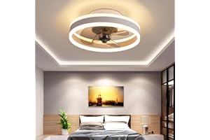TATANE Reversible Plafonnier Ventilateur Silencieux Telecommande 6 Vitesses Chambre Ventilateur de Plafond Avec Lumiere Moderne Salon Φ40cm 24W Dimmable Led Ventilateur de Plafond,Blanc