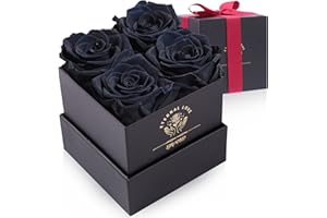Impouo Konservierte Rose, Geschenke für sie, Geburtstagsgeschenke für Frauen, Geschenke für Mutter/Freundin/Ehefrau/Oma, Weihnachten, Geburtstag, Valentinstag – Schwarze Rose