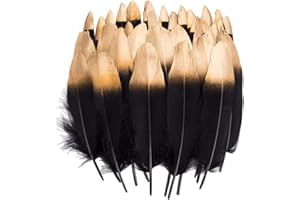 Vidillo Bunte Federn, 40 Stück Gold/schwarz getauchtes natürliches rot/Schwarz Gänsefedern, ideal als Dekoration zum Karnival für Halloween Fest Masken, Kostüme und Basteln für Kinder