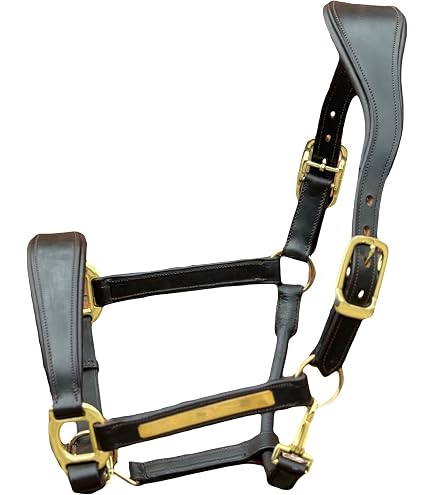 Licol En Cuir Pour Cheval - Style Gaucho Brodé Bleu/vert/blanc - Taille 76,2 Cm