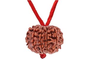 55Carat Choose Your Natural Certified Nepali Rudraksha 1 to 13 Mukhi Ganesh Gauri Shankar Simple Pendant with Red Thread Shiva Astrology Jewelry for Men Women