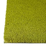 Relaxdays Fußmatte Kokos KEEP CALM 40 x 60cm Kokosmatte mit rutschfester PVC Unterlage Fußabtreter aus Kokosfaser als Schmutzfangmatte und Sauberlaufmatte Fußabstreifer für Außen und Innen Matte, grün - 5