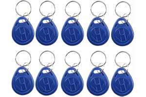 DIGINEX HFeng 125KHz T5577 / EM4305 Inscriptible RFID Porte-clés NFC Etiquettes Token Proximité ID Contrôle D'accès Clé Carte Fob pour Système d'Entrée de Sécurité Couleur Bleu (10)
