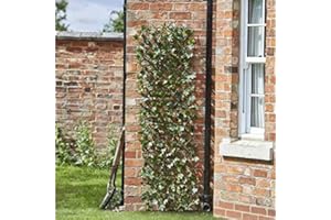 Garden Mile® 180 x 60cm Topiary Maple Leaves Artificial Leaf Trellis Spring and Summer Creeping Garden Decoration Faux Climbing Ivy Plants Vines (180 x 60cm, Maple Leaf)