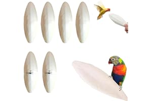 Cutiolly Osso di Seppia,Ossos di Seppia per Pappagalli,Osso di Seppia per Uccelli,per Uccelli Parrocchetti Animali Domestici (Bianco, 11-12cm*6pc)