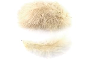 ‎CREATIVERY Marabufedern ca. 20 Stück, 12-17cm (champagner 815) // Dekofedern Bastelfedern Marabu Federn Schmuckfedern