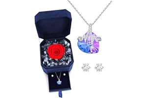 IMMORROSA Echte Ewige Rose mit 925er Sterlingsilber Halskette und Ohrringe, Infinity Rosen, Schmuck Damen Geschenkbox Geburtstag, Valentinstag, Hochzeitstag für Sie Frauen Mutter