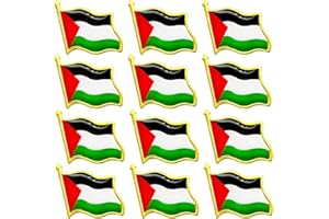 OYZOQ 12 Pcs Bandera Palestina Broche,Pin Palestina, Palestina Bandera, Liga para Actividades Patrióticas, 2,1 × 1,9 cm, Apta para Gorras,Ropa, Bolsos, Regalos para Fans