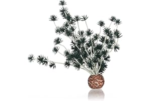 biOrb Bola de bonsái en color negro