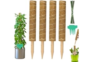 AISHOW Tuteur Plante Grimpante 4 Pièces Bâton de Coco de 30cm avec 4 Étiquettes de Plantes et 100 Câbles Plantes pour Plantes Grimpantes Poteau de Mousse Support Tuteur en Fibres de Mousse de Coco