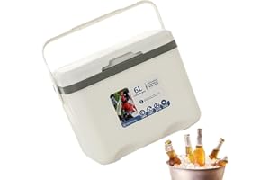 ZANKIE Car Refrigerator Freezer 6L - Insulated Freezer Box Portable Travel Electric Car Refrigerators with Handle for Camping, Travel, Truck, Boat, Home