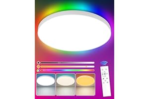 WOWSPEED Plafón LED Redondo Plano, 24W 1920LM Lámpara Ultra Fina Regulable con Mando a Distancia RGB+3000-6500K Lámpara de Techo Dormitorio con Función de Memoria Temporizador para Cocina Salón Pasillo