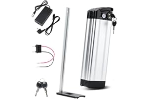 ZHIKAN Batteria per Bici Elettrica 36V/48V 15.6Ah/18Ah/21Ah con Caricabatteria,per motore da 250W 500W 1000W 1200W, per MiFa Rex Prophete Aldi/Phylion/XH370-10J Bike e altre bici