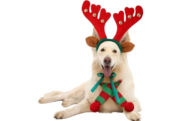 Infispace Christmas Reindeer Antlers Headband with Bells for Pet Dogs and Cats (Red Medium)- Pack of 1