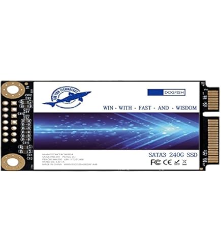 SSD M.2 2242 SATA 3 2 To Pour WWAN - Compatible ThinkPad X240 X250 X270