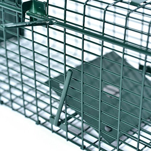 Lebendfalle 53 x 19 x 19 cm mit 2 Eingängen Drahtfalle / Rattenfalle mit Bissschutz & Trittbrett professionelle Tierfalle mit Rahmenverstärkung Türsicherung sofort einsatzbereit & pulverbeschichtet - 5