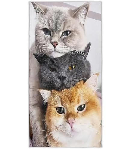 Lot De 3 Serviettes De Toilette Enfant Coton Motif Chat Mignon Brodé - Microfibre Douce Pour Bain, Piscine Et Maison