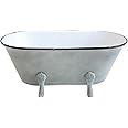 Creative Co-Op DA9178 Decorative Metal Bathtub Container with Feet