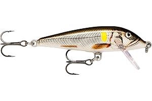 Rapala - Leurre de Pêche CountDown - Matériel de Pêche avec Construction Balsa - Leurre Pêche d'Eau Douce - Profondeur de Nage 1.5-2.4m - Taille 7cm / 8g - Fabriqué en Estonie - Live Ayu