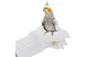 NCONCO 1 Paar Anti-Bisshandschuhe für Papageien, Vogel-Trainingshandschuhe, Kleintierhandschuhe, Drahthandschuhe und Schutzhandschuhe aus Stahldraht, Kauen (Weiß)