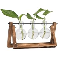 Pot Pour Plantes Hydroponiques Grovind Vase En Verre à 3 Niveaux Terrarium Mural Pour Plantes Avec Boule De Verre Pour Plantes