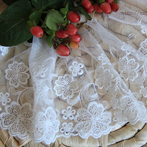 White 5 Yards Grace Floral Embroidered Mesh Lace Dress Edge Lace Trim Fabric Ribbon Wedding Bridal Veils Craft Hesd Ornaments 4 3/4 Inches Wide by Beautiful By Design