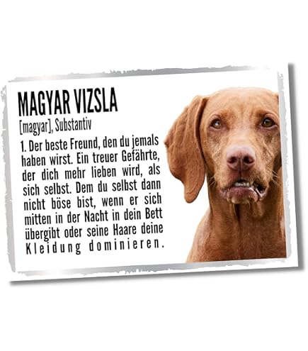 Türschild Aus Schiefer Für Golden Retriever Fans – 'Vorsicht Vor Dem Frauchen, Der Hund Ist Harmlos' | Graviert, Wetterfest, 22x16 Cm