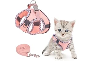 Brifit Katzengeschirr mit Leine Ausbruchsicher, Softgeschirr für Katze Brustgeschirr mit Reflektierenden Streifen, Verstellbar Cat Harness, Katzenweste Katzen Geschirr [3XS] Anwendbares Gewicht: <2kg
