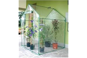 Verdemax Clematis Serra 155 x 155 x h 205