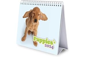 Grupo Erik: Calendario Cuccioli 2024 da Tavolo - Calendario Scrivania 2024, 12 mesi + Planner annuale 2025, 18x20 cm FSC®, calendario 2024 da tavolo cani, calendario ufficio 2024
