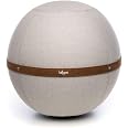 Siège Ballon Ergonomique HardBold 55/65 Cm - Anti Mal De Dos, Sciatique - Idéal Télétravail Et Yoga