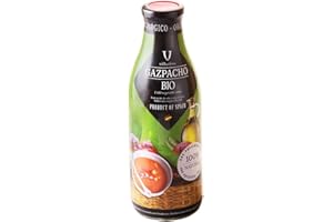 GAZPACHO BIO 1LT VILLAOLIVO
