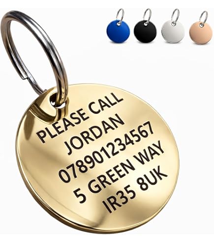 Walking Dead Season 2 Dog Tag, Stick & Carabiner Pack [Random