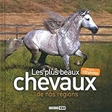 Les plus beaux chevaux de nos régions