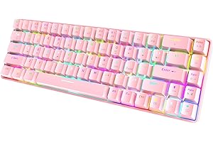 LEXONELEC T8 RGB 60% Tastiera Meccanica, Tastiera da Gioco Cablata Layout Compatto al 65%, 18 RGB Chroma Retroilluminato, QWERTY Mini 68 Tasti Full Key Anti-ghosting per PS4, Xbox, Laptop - Blue Switch/Pink
