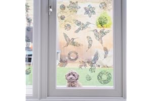 Eozighi 24 adesivi per finestre trasparenti con uccelli, anti-collisioni, autoadesivi, per protezione dagli uccelli, 16 forme diverse, per la protezione contro le collisioni degli uccelli