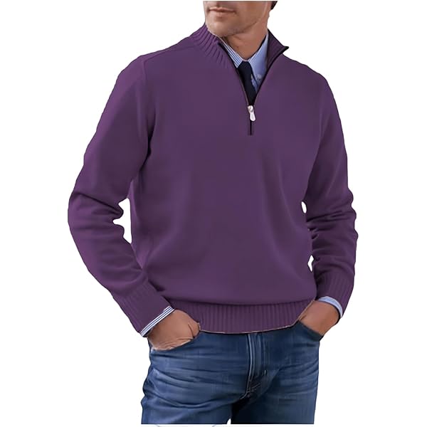 Herren Rollkragenpullover Langarm - Baumwolle Regular Fit Basic Pullover