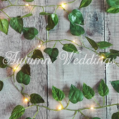 Ivy Fairy Lights / String Lights - 2m 20 LED - Wedding Decorations - AA Battery Powered - Warm White - Indoor Leaves - Leaf Garland with Lights - Fairy Lights Bedroom - Leaf Fairy Lights - Fairy Lights Leaf - Prime Delivery