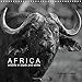 Produktbild AFRICA wildlife in black and white (Wall Calendar 2015 300 × 300 mm Square) (Calvendo Animals)
