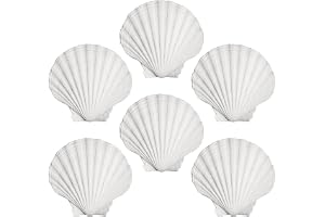 6 stycken kammusslor, hantverksmaterial, skaldekoration, matlagningsskal, heminredning, DIY kreativa skalsmycken