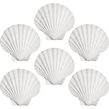 MsTeco Conchas, 200g Conchas Marinas Naturales Conchas Pequeñas Decorativas Negro Conchas de Mar para Hacer Velas, Decoración de Bodas, Manualidades, Peceras y Rellenos(1.2-1.8cm MsTeco Conchas, 200g Conchas Marinas Naturales Conchas Pequeñas Decorativas Negro Conchas de Mar para Hacer Velas, Decoración de Bodas, Manualidades, Peceras y Rellenos(1.2-1.8cm